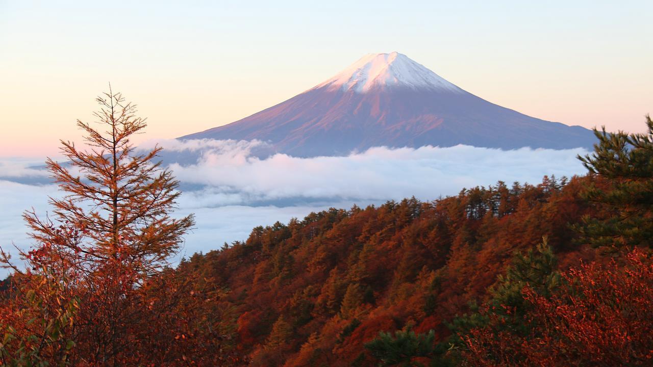 富士山一日游 参考图 1